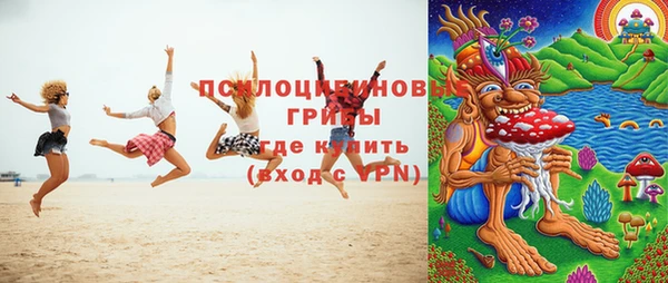 гашик Алексин