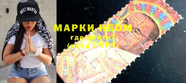 гашик Алексин