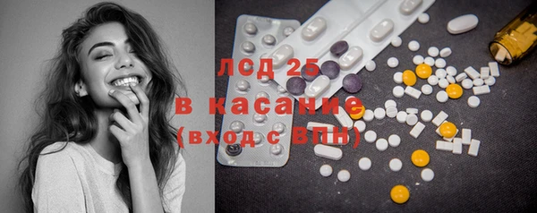гашик Алексин