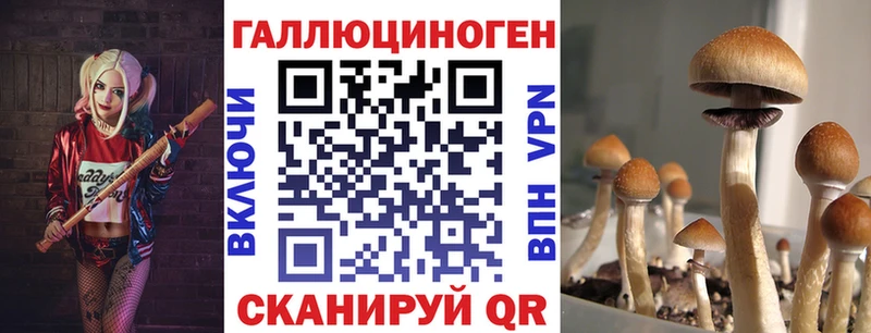 купить Плавск Галлюциногенные грибы прущие грибы